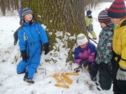 Výprava do zimního lesa